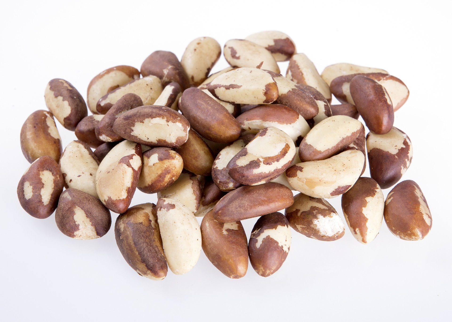 brazil-nut-seeds-natural-2305209-1920-jpg